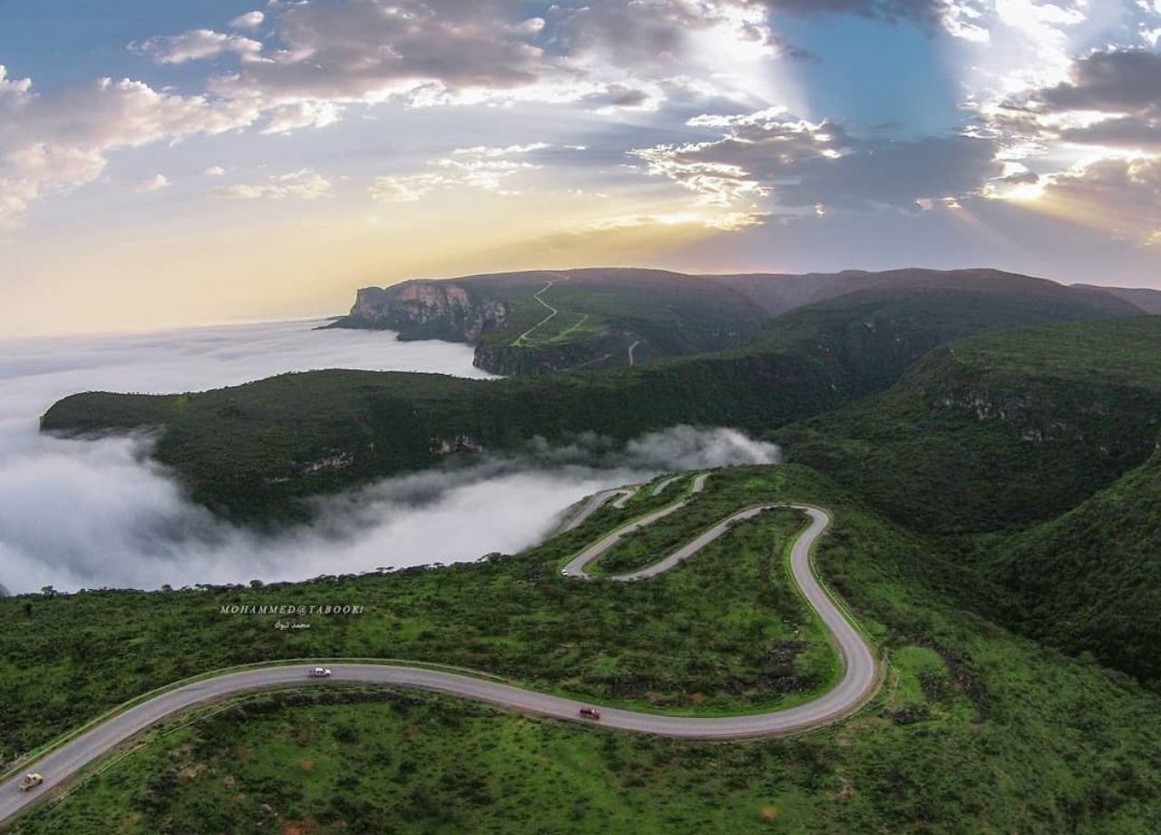 چرا عربستان با فرش بنفش به استقبال رئیس‌جمهور چین رفت؟+ عکس