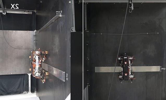 این سگ رباتیک از دیوار راست بالا می‌رود!