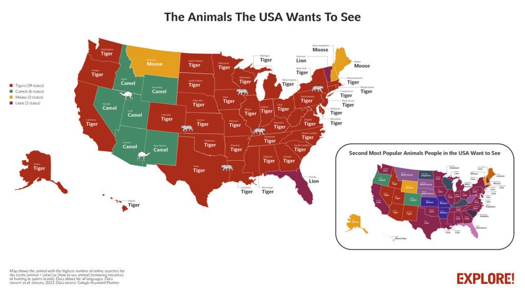 محبوب ترین حیوانات در نقاط مختلف جهان کدامند؟ (اینفوگرافیک)