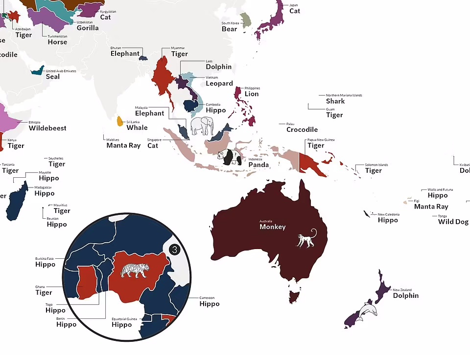 محبوب ترین حیوانات در نقاط مختلف جهان کدامند؟ (اینفوگرافیک)