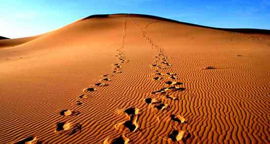 خواب چیزی نیست جز تفکر خواب چیزی نیست جز تفکر