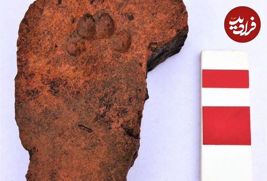 سفال کشف شده در لینکلن سفال کشف شده در لینکلن