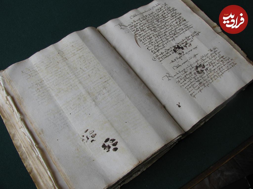 ردپای جوهری گربه روی کتاب ردپای جوهری گربه روی کتاب