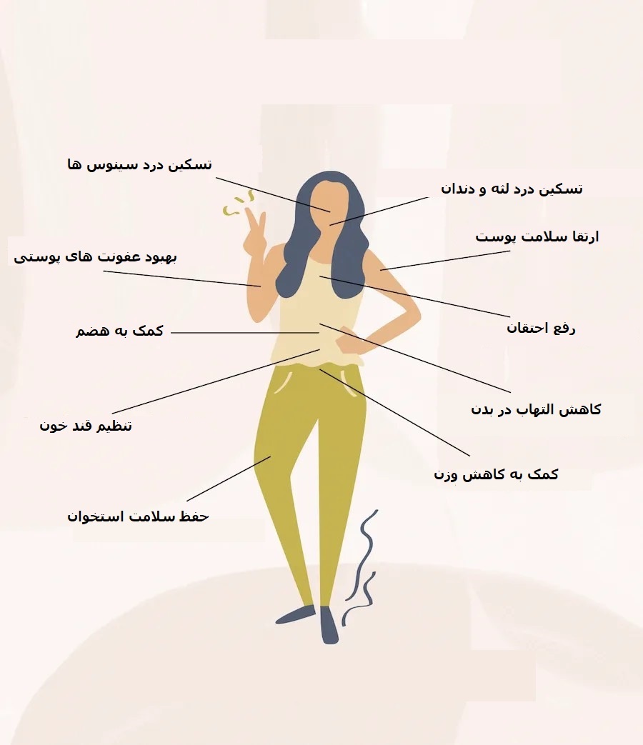 همه چیز درباره خواص شگفت انگیز چای میخک همه چیز درباره خواص شگفت انگیز چای میخک