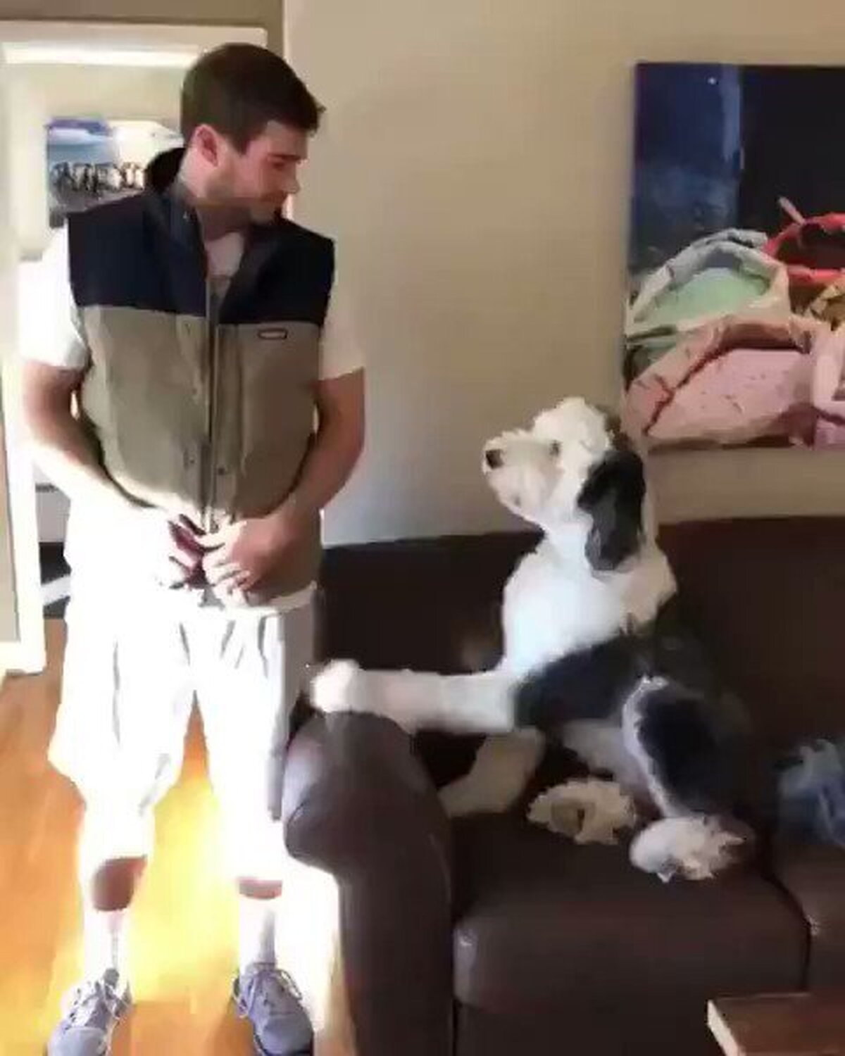 احساساتی شدن سگ بعد از دیدن عکسش روی تی‌شرت صاحبش (فیلم)