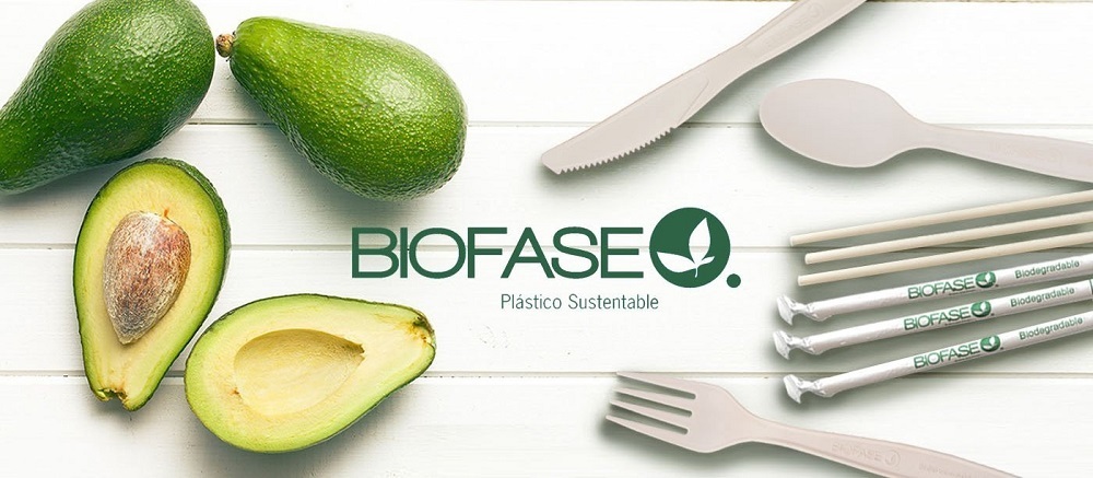 هسته آووکادو هسته آووکادو