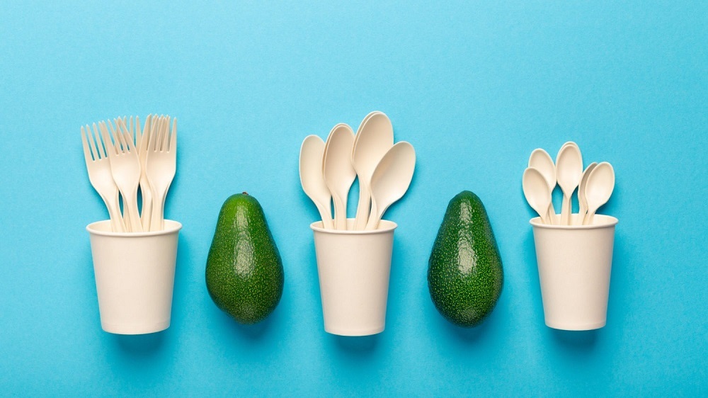 هسته آووکادو هسته آووکادو