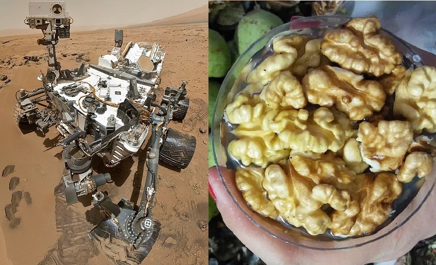 آرزوی فیروز نادری که برآورده نشد: فال گردویی که نخرید!