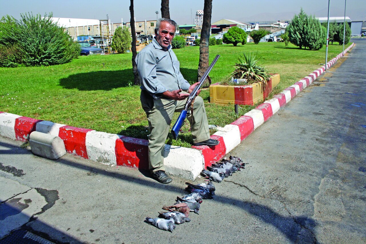 عجیب ترین شغل دنیا: شکارچی فرودگاه مهرآباد