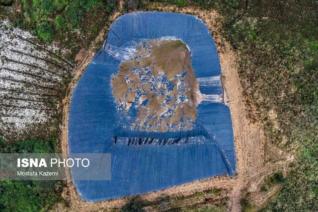 حال مازندران خوب نیست/ فاجعه زیست محیطی