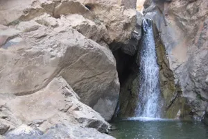 درمان بیماری‌های پوستی و گوارشی با تیزآب / چگونه به تیزآب برویم؟(+عکس)