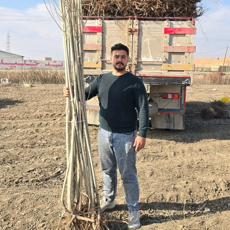 سایت خرید نهال سایت خرید نهال