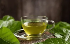 طرز تهیه دمنوش برگ توت سفید در خانه + بهترین زمان مصرف و نکات مهم