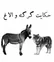 دعوای خر و گرگ درباره رنگ ماست/ آخر قصه تکان دهنده است