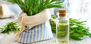 این گیاه معطر بر میزان هوش شما تاثیر میگذارد