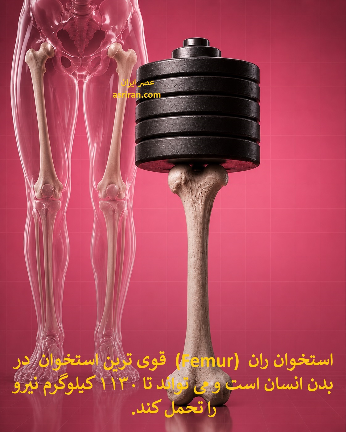 اینفوگرافیک تحمل وزنی تا 1130 کیلوگرم توسط استخوان ران انسان اینفوگرافیک تحمل وزنی تا 1130 کیلوگرم توسط استخوان ران انسان