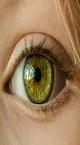نقشه کامل چشم انسان؛ بررسی وظیفه و مکانیسم 15 جزء اصلی چشم (اینفوگرافیک)