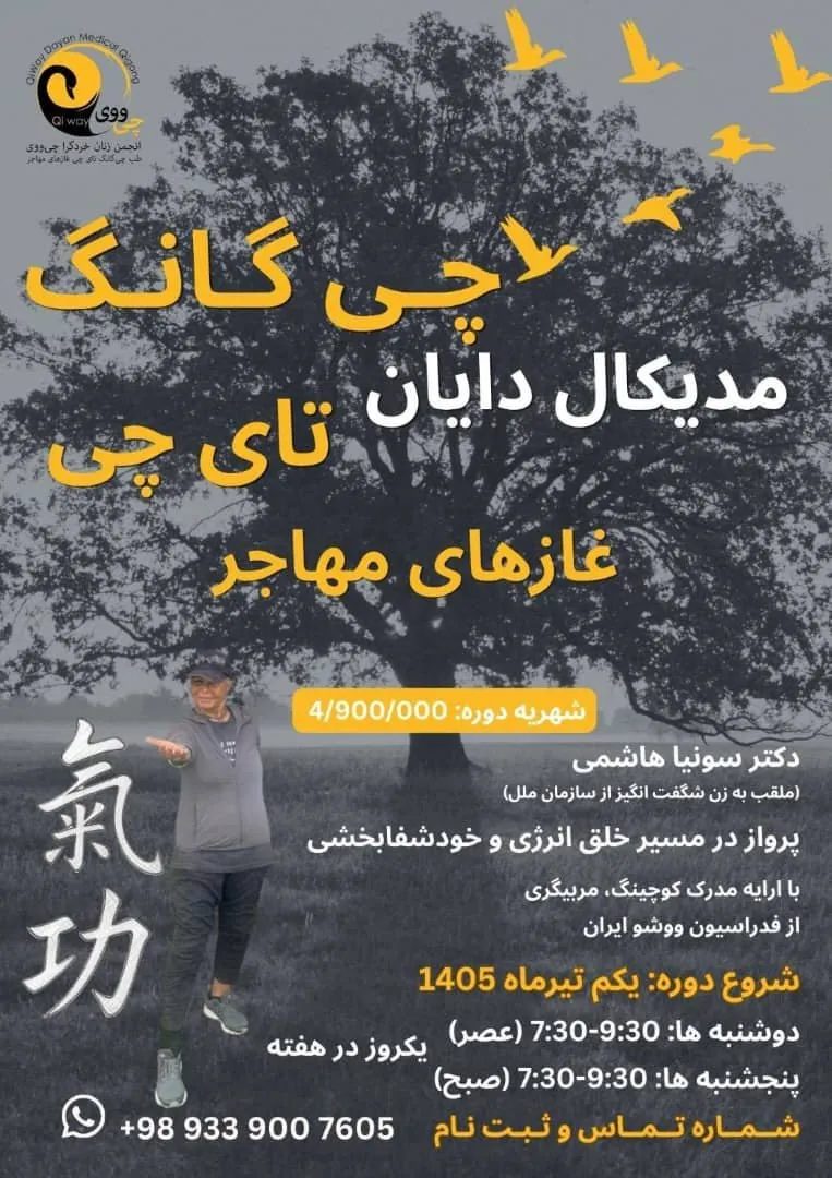 دایان چی‌گانگ طبی
