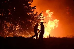 آتش‌سوزی گسترده در واشنگتن ۶۴۰ خانه را ویران کرده است