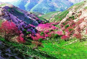 دره ارغوان، یکی از زیباترین و بکرترین مناطق طبیعی ایران (+عکس)