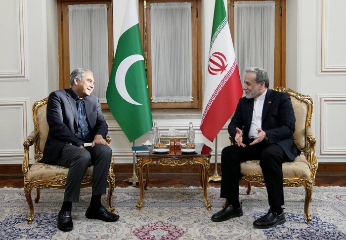دیدار وزیر کشور پاکستان با عراقچی دیدار وزیر کشور پاکستان با عراقچی