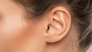 آناتومی شگفت‌انگیز لاله گوش / رادیاتور مخفی یا یک اشتباه تکاملی؟