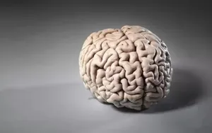 چرا آمیلوئید عروقی مغز خطرناک است؟