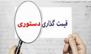 چرخه قیمت‌گذاری دستوری؛ شرح یک نمونه عینی