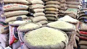 واردات برنج از امروز کلید خورد؛ جزئیات مهلت ثبت سفارش اعلام شد