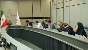 منابع هدفمندی یارانه‌ها در بودجه ۱۴۰۶ با تمرکز بر نفت و گاز بررسی شد