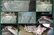 سپاه ثارالله: یک موشک کروز در آسمان رودبار جنوب رهگیری و منهدم شد