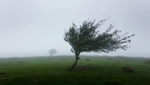 هشدار نارنجی هواشناسی؛ بارش شدید و خطر سیلاب در ۳ استان کشور