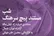 فیلم مستند «پیچ سرهنگ» با دغدغه‌های محیط زیستی رونمایی شد 