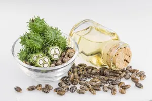 روغن کرچک برای مو؛ چه فوایدی دارد و چه چیزهایی ثابت نشده است؟