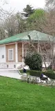 کنیزکان زیبا و کاخ های طلایی/ کابوکی، عطار و میرزاده عشقی