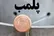 یک باغ‌وحش پلمب شد