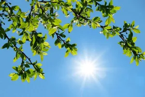رگبار در شمال، گرمای ۴۱ درجه‌ای در تهران/ پیش‌بینی جدید هواشناسی