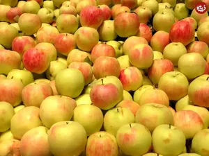 سیب؛ معجزه ای برای سلامتی