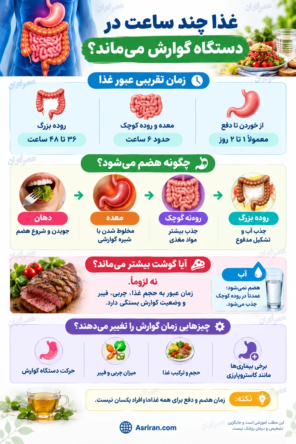 دستگاه گوارش
