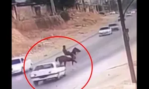 تصادف شدید پژو با اسب در کازرون (فیلم)