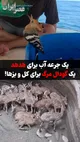 یک جرعه آب برای هدهد؛ یک گودال مرگ برای کل و بزها / دو تصویر از یک ماجرا
