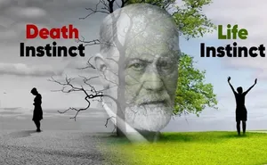 معنای «غریزه زندگی و غریزه مرگ» در روانکاوی فروید