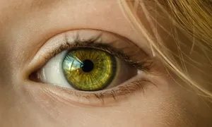 نقشه کامل چشم انسان؛ بررسی وظیفه و مکانیسم 15 جزء اصلی چشم (اینفوگرافیک)