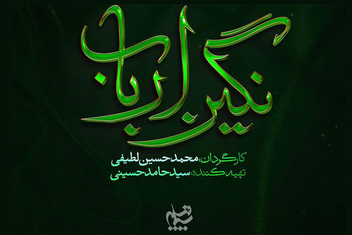 نگین ارباب نگین ارباب