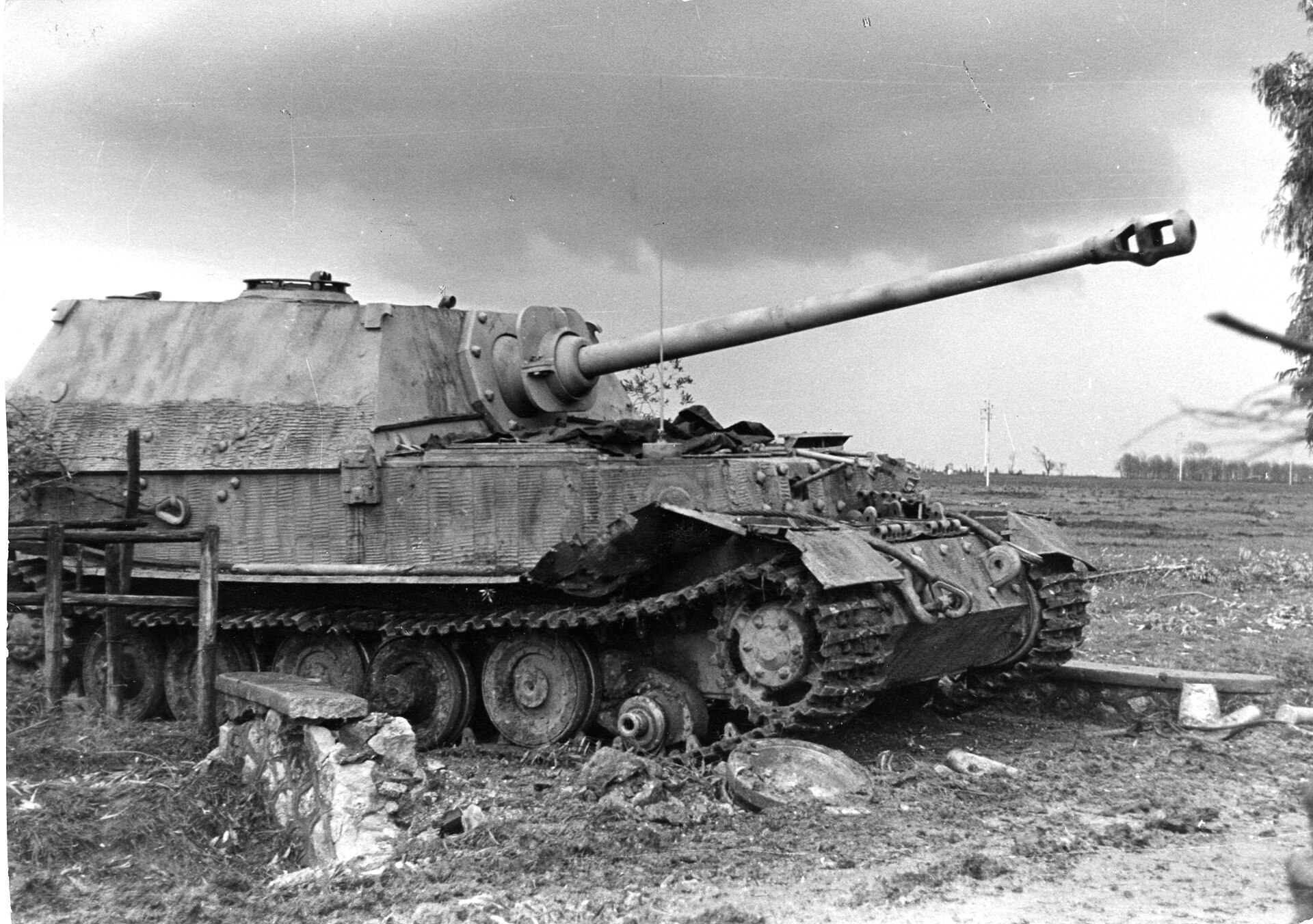 یک الفانت از کار افتاده دیگر در ایتالیا / سال 1944