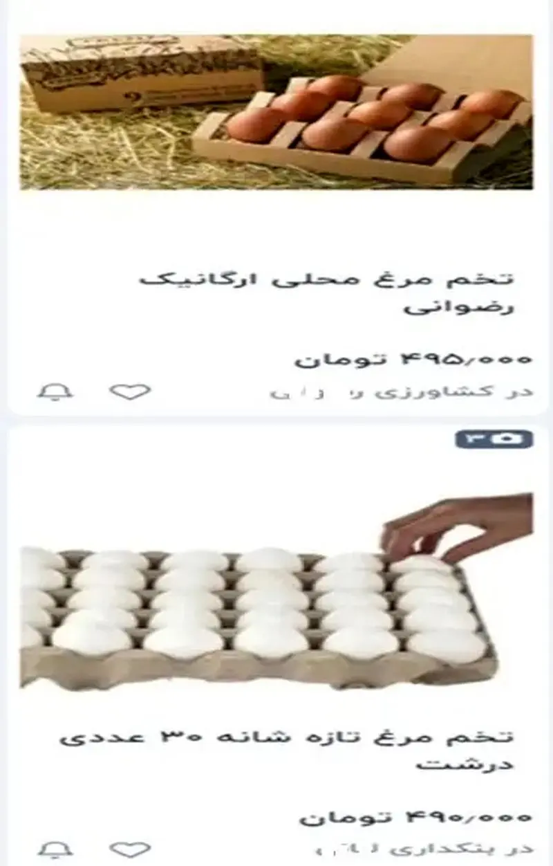قیمت تخم مرغ قیمت تخم مرغ