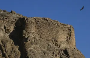 عقاب‌نشین ایران که تنها نیست (+عکس)