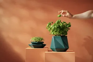گلدانی که همراه گیاه بزرگ می‌شود؛ ایده‌ای نو برای خداحافظی با تعویض گلدان (+عکس)