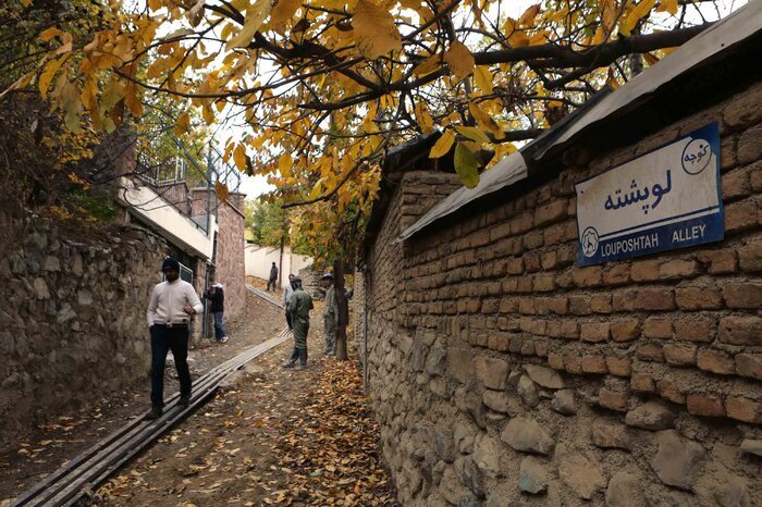 کوچهباغهای شمشک و سفیدستان کوچهباغهای شمشک و سفیدستان