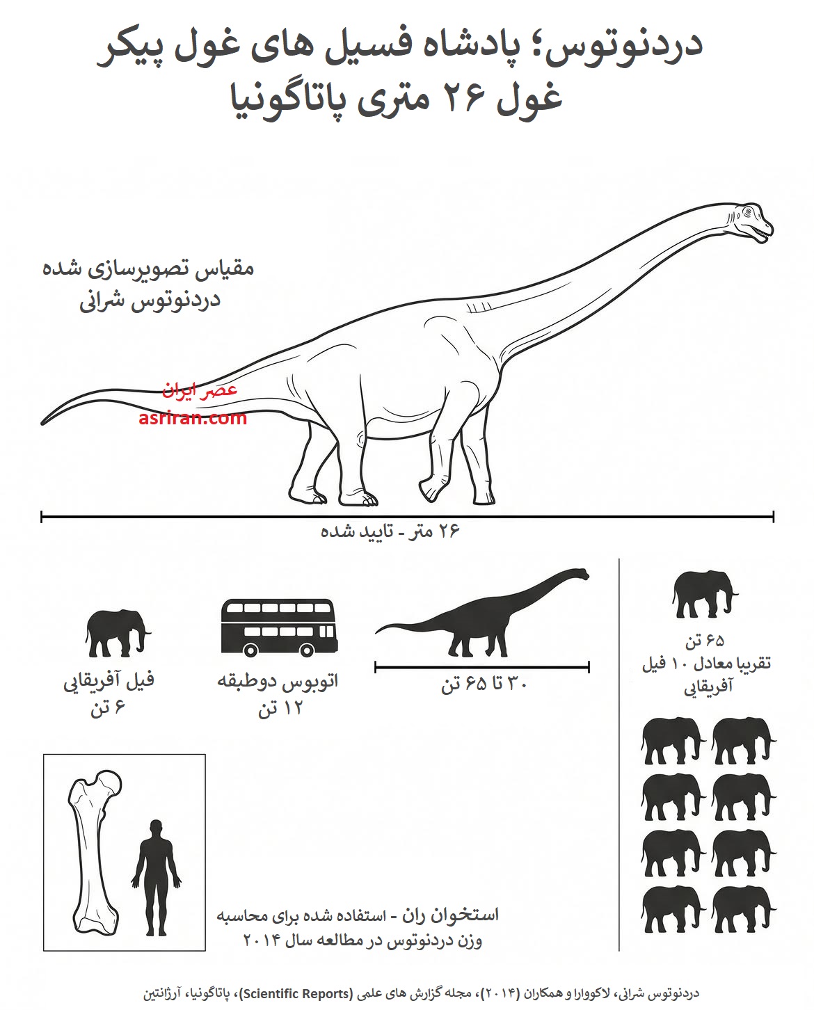 اینفوگرافیک مشخصات دایناسوری به نام دردنوتوس شرانی